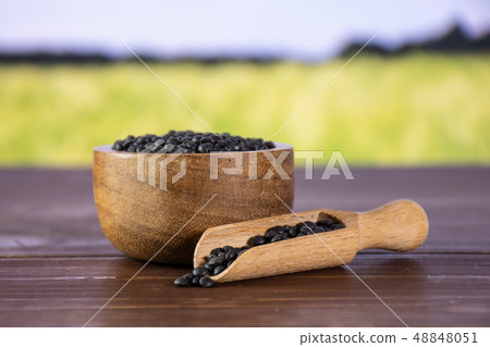 Black lentils beluga with field behind 48848051