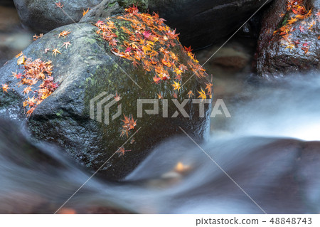 Tollet Fall @ Isahaya, Nagasaki Prefecture 48848743