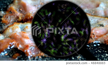 Searching for bacteria in meat 48848883