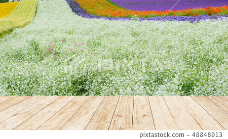 wood floor in beautiful lavender field at hill, wood floor in beautiful lavender field at hill, 48848913