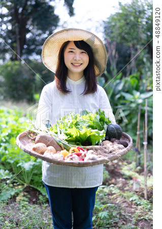 Agriculture Vegetable Producer Harvest Farmer Agriculture Vegetable Producer Harvest Farmer 48849120