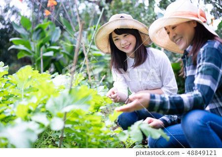 Agriculture Experience Tourism Travel Vegetable Producer Harvest Farmer Agriculture Experience Tourism Travel Vegetable Producer Harvest Farmer 48849121