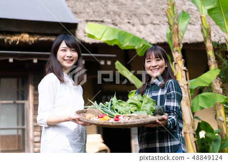 農業蔬菜生產者收穫農民 農業蔬菜生產者收穫農民 48849124