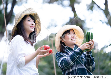 農業蔬菜生產者收穫農民 農業蔬菜生產者收穫農民 48849125
