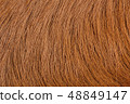 Brown Cow leather background 48849147