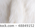 Close up white fur texture.NEF 48849152
