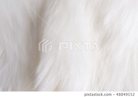 Close up white fur texture.NEF 48849152