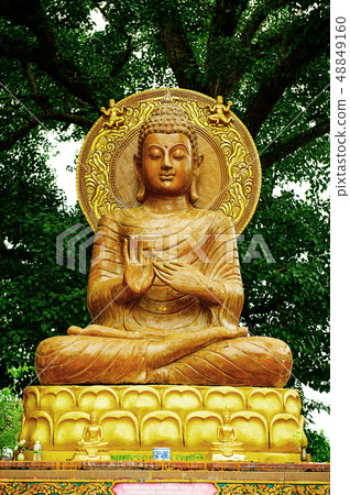 ancient buddha statue on big tree ancient buddha statue on big tree 48849160