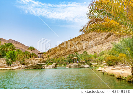 Wadi Bani Carillo (Oman) 48849188