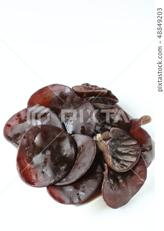 Chrysanthemum 48849203