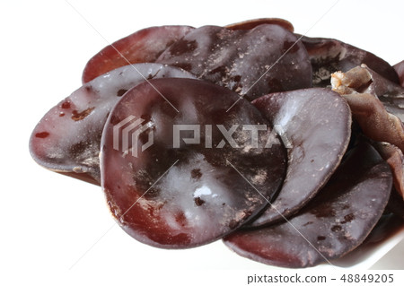 Chrysanthemum 48849205