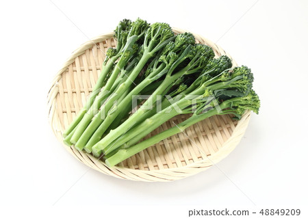 Stick Senor 48849209