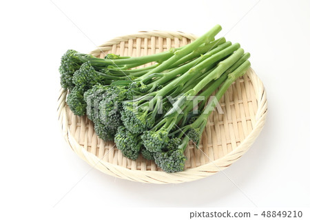 Stick Senor 48849210