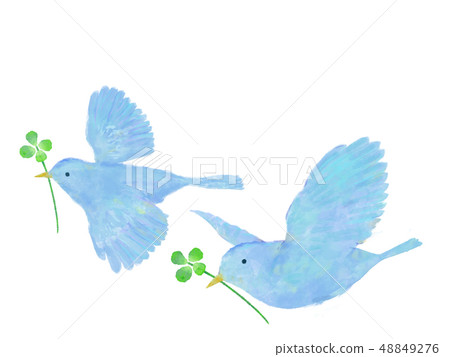 Bird and four leaf clover watercolor handwriting style red bird 48849276