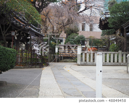 白山神社 48849458