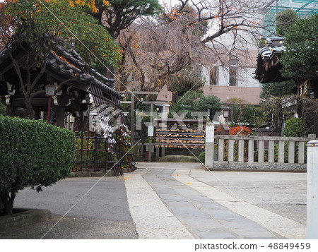 白山神社 48849459