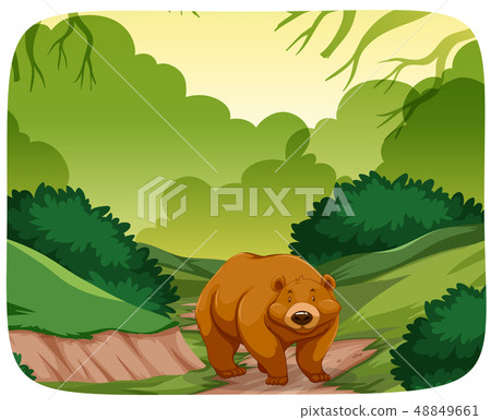 A bear in the forest 48849661