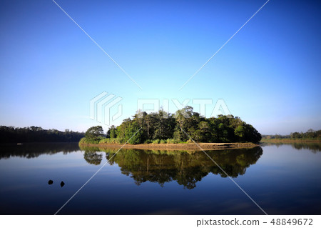 Kinabatangan River 48849672