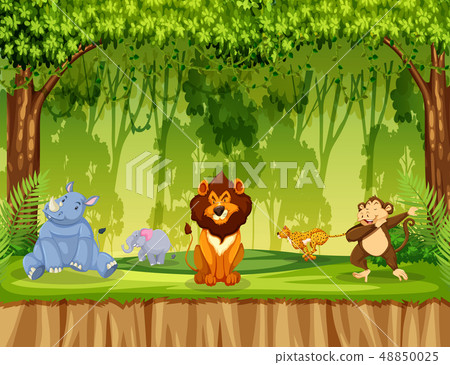 Animals in jungle scene Animals in jungle scene 48850025