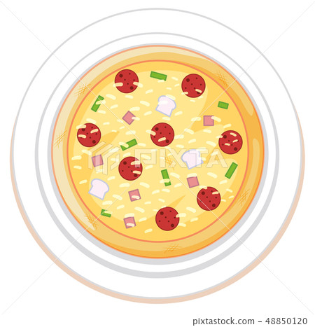 Pizza on plate white background Pizza on plate white background 48850120