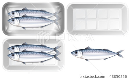 Set of mackerel in package Set of mackerel in package 48850236