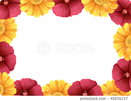 A beautiful flower frame A beautiful flower frame 48850237
