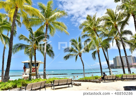 Holidays in Hawaii 48850286