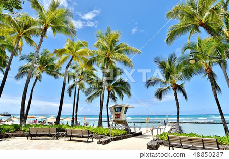 Holidays in Hawaii Holidays in Hawaii 48850287