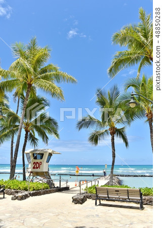 Holidays in Hawaii 48850288