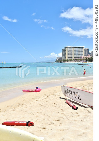 夏威夷的假期 夏威夷的假期 48850293