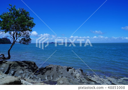 Oakland blockhouse bay beach summer 48851008