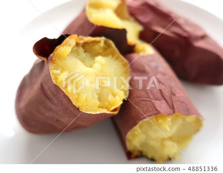 Delicious sweet potato of silk sweet 48851336