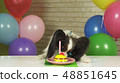 Fancy Dog Papillon eating birthday cake with candle 48851645