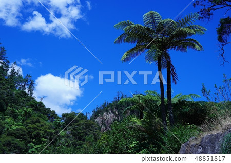 在新西蘭的karangahake山谷徒步旅行 48851817