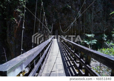 在新西蘭的karangahake山谷徒步旅行 在新西蘭的karangahake山谷徒步旅行 48851840
