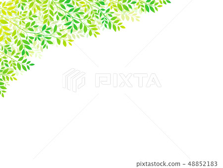 Fresh green leaf image 48852183
