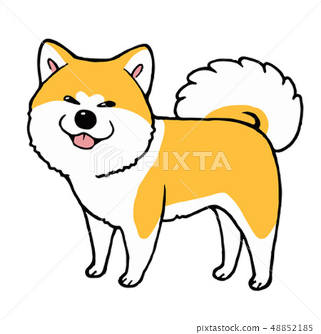 Akita dog standing 48852185