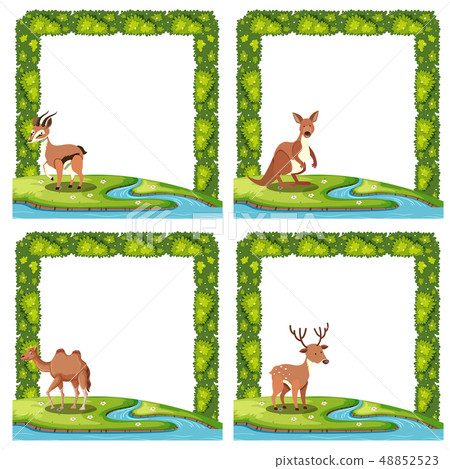 Set of animal nature border 48852523