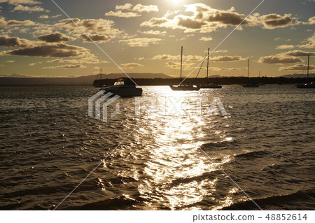 Sunset on Tauranga Beach, New Zealand 48852614