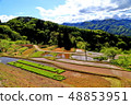 Tanada of Shiomoto in Shinshu Shincho, Nagano Prefecture 48853951
