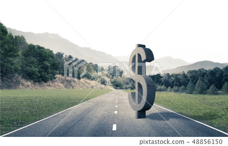 Money making and wealth concept presented by stone dollar symbol 48856150