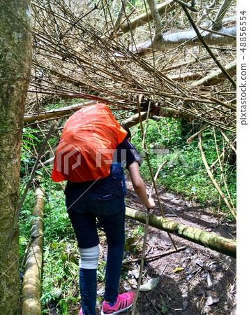 Women adventure, trekking on difficult way Women adventure, trekking on difficult way 48856554