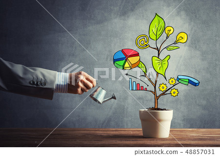 Drawn income tree in white pot for business investment savings and making money 48857031