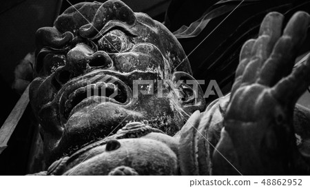 Todai-ji寺廟金黃雕像在奈良 48862952