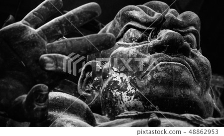 Todai-ji寺廟金黃雕像在奈良 48862953