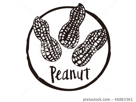 peanut brush lettering 48863361