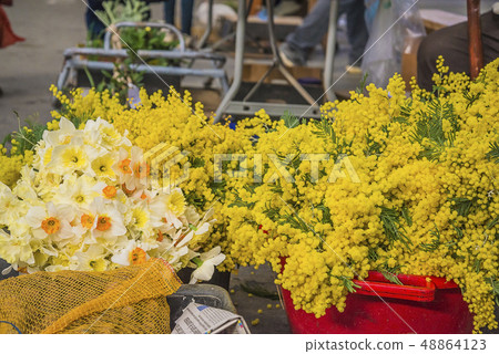 Daffodils and sheap of mimosa on the spring market Daffodils and sheap of mimosa on the spring market 48864123