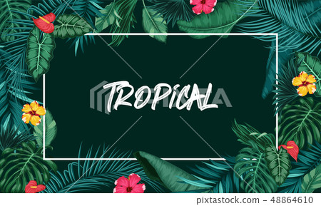 Tropical forest with rectangle frame on black back Tropical forest with rectangle frame on black back 48864610
