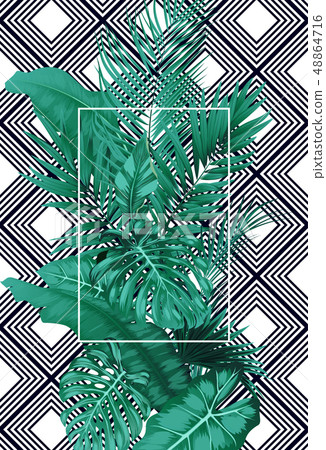 Tropical leaves and frame square on pattern stripe 48864716