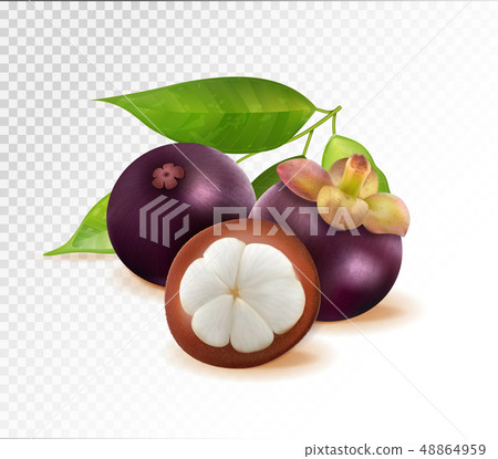 Mangosteen isolated on transparent background. Two whole queen fruits and one half as package design 48864959